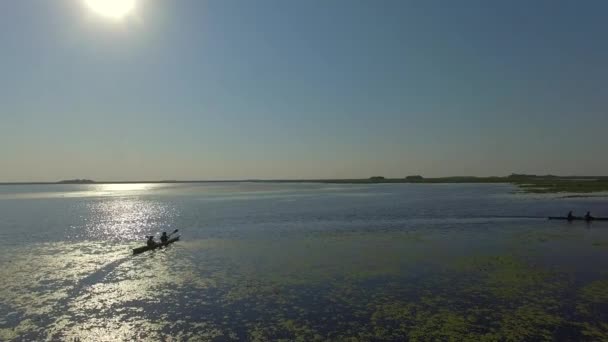 Ibera Wetlands, provincie Corrientes, Argentina — Stockvideo