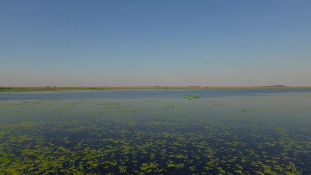 Ibera feuchtgebiete, provinz corrientes, argentinien — Stockvideo