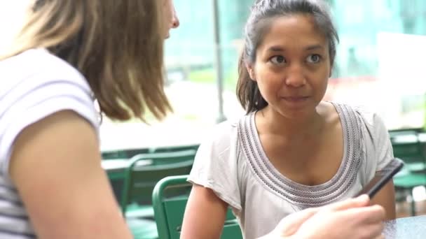 Mujeres mirando el teléfono inteligente multimedia — Vídeo de stock