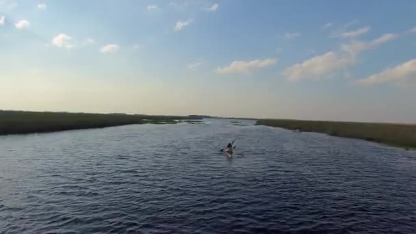 Ibera sulak, Corrientes Eyaleti, Arjantin — Stok video