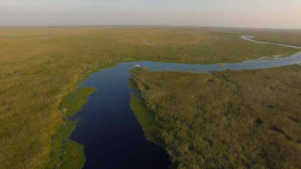 Flygfoto över turister kanotpaddling i Ibera våtmarker — Stockvideo