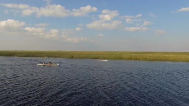 Zones humides d'Ibera, Province de Corrientes, Argentine 