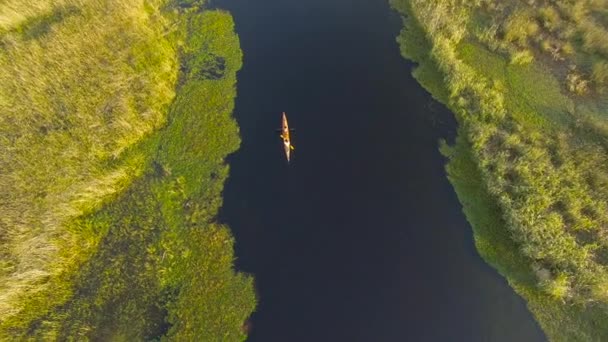 Ibera sulak, Corrientes Eyaleti, Arjantin — Stok video