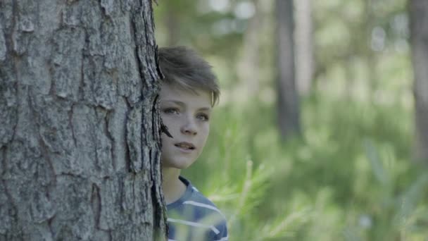 Garçon regardant autour du tronc d'arbre, regardant vers le haut dans la crainte 