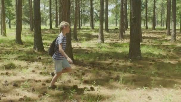 Ragazzo che corre nel bosco — Video Stock