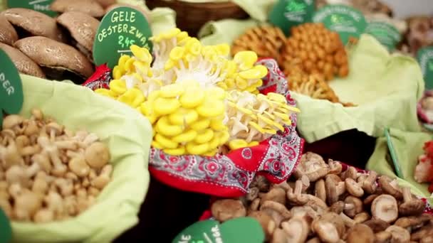 Съедобные грибы, продаваемые на рынке — стоковое видео