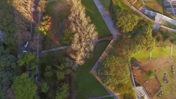 City park aerial view — Stock Video