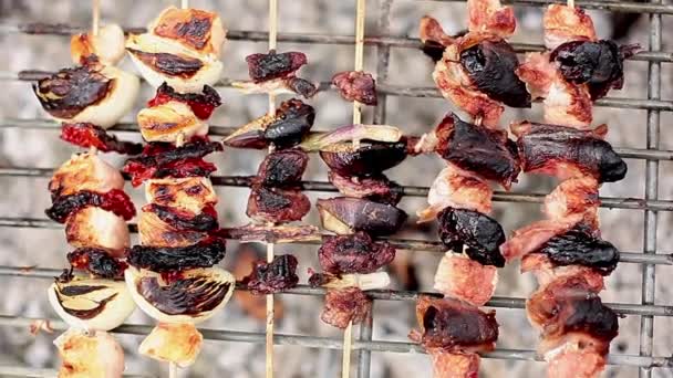 Kebabs cooking on grill — Stock Video