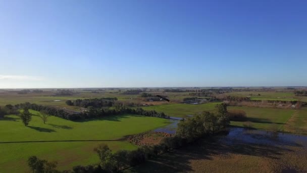 Vogel met het vliegen over open landschap — Stockvideo