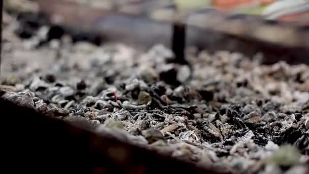 Míchání uhlí v ohniště — Stock video