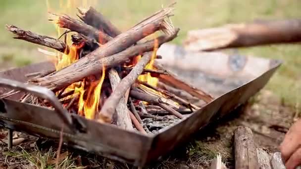 Trä elden brinnande i eldgrop — Stockvideo