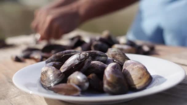 Preparing fresh mussels — Stock Video