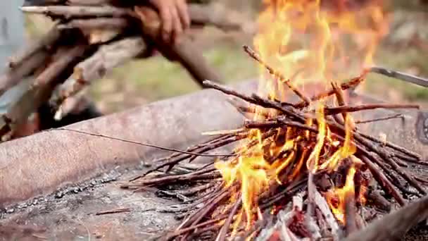 Holzfeuer in Feuerstelle bauen — Stockvideo