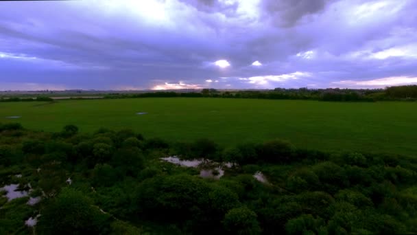 Tarafından ekili tarım arazileri çevrili sulak — Stok video