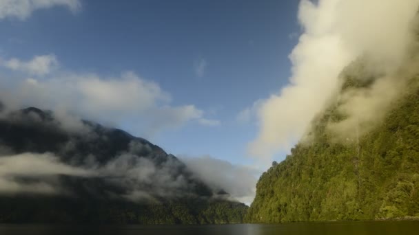 Fiordo y exuberantes montañas boscosas — Vídeo de stock
