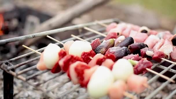 Kebabs cocinando a la parrilla — Vídeo de stock