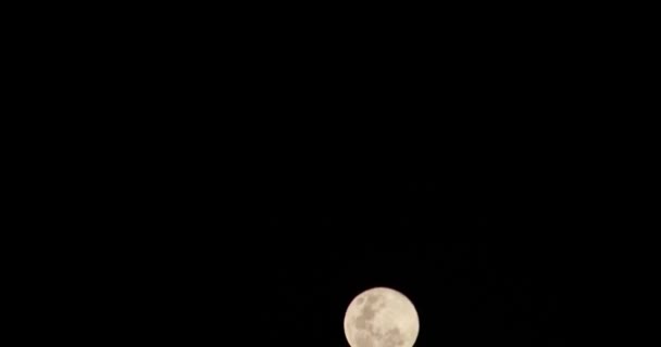 Full moon rising — Stock Video