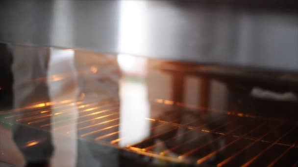 Mujer poniendo postre de frutas en el horno — Vídeos de Stock