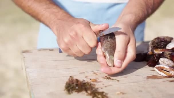 Persona que limpia mejillones frescos — Vídeo de stock