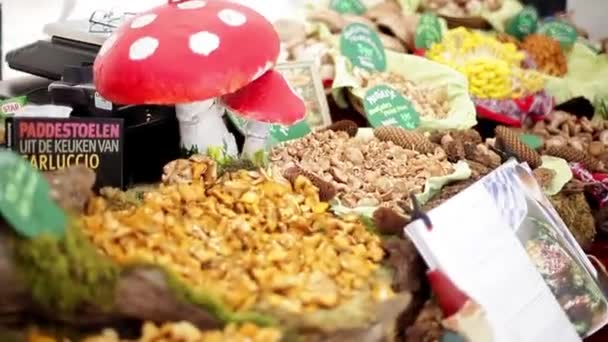 Chanterelles and other varieties of edible mushrooms — Stock Video