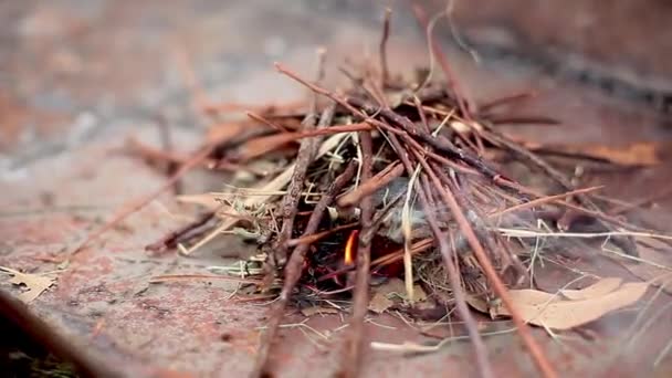 Ateş için odun ekleme — Stok video