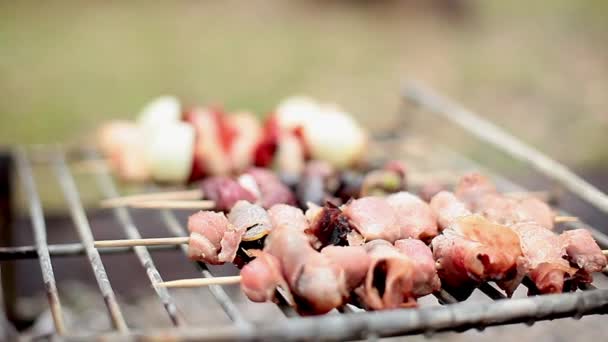 Vända kebab matlagning på grillen — Stockvideo