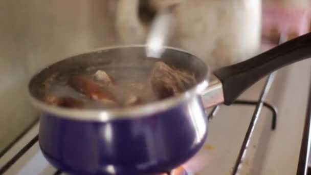 Koken van verse mosselen op de kookplaat — Stockvideo