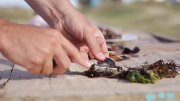 Person cleaning fresh mussels — Stock Video