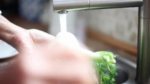 Mulher lavando bulbo de erva-doce — Vídeo de Stock