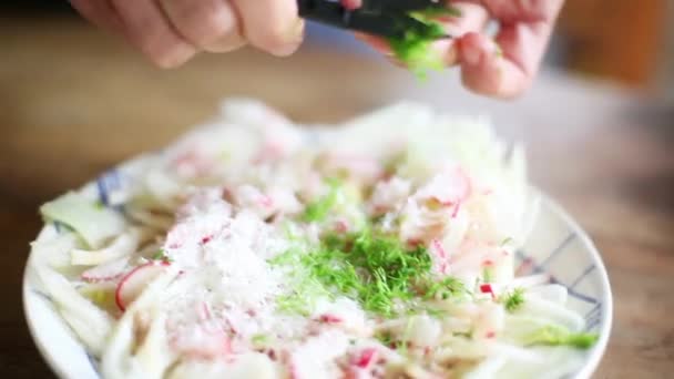 Mulher cortando folha de erva-doce sobre salada — Vídeo de Stock