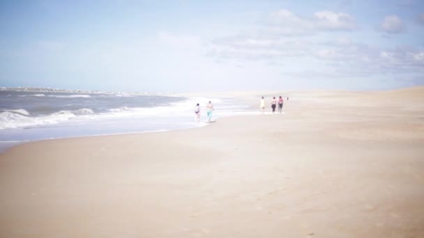 Les vacanciers sur la plage — Video