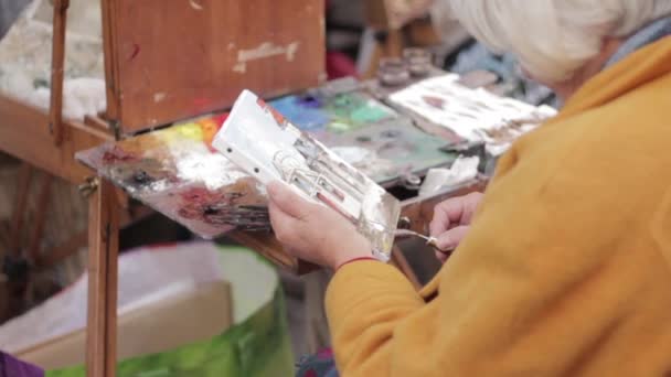Vue Partielle Artiste Rue Travaillant Sur Peinture Huile Paris France — Video