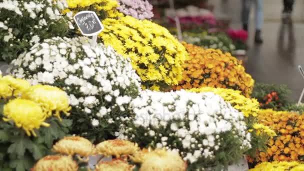 Loja de flores da calçada — Vídeo de Stock