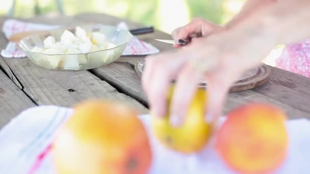 Orangenschneiden, um der Apfel- und Birnenmischung Saft hinzuzufügen — Stockvideo