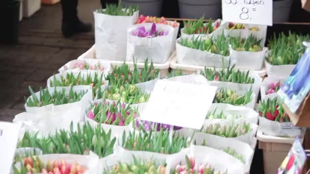 Букеты тюльпанов на продажу на цветочном рынке — стоковое видео