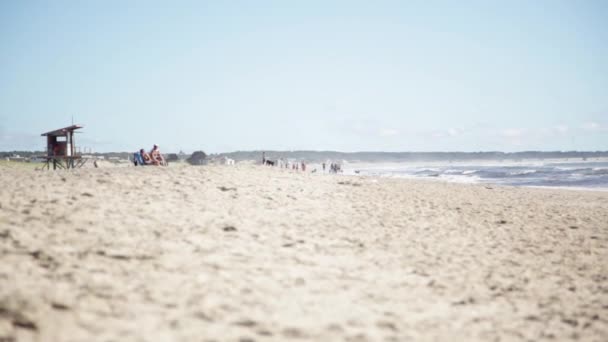 Vacacionistas en la playa — Vídeos de Stock