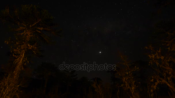 Wildernis camper van weergave van de nachtelijke hemel — Stockvideo