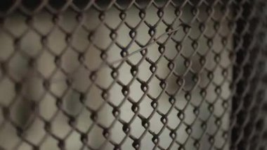 Metro treninin tel çit hareket