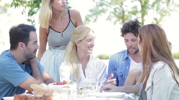 Familie en vrienden samen tijd doorbrengen — Stockvideo