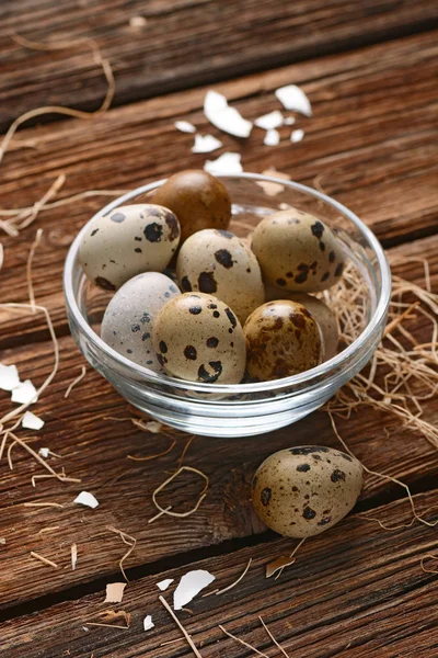 Fresh quail eggs — Stock Photo, Image