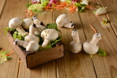 ahşap masa üzerinde champignon mantar
