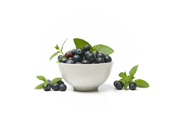 Delicious blueberries in the bowl - white background — Stock Photo, Image