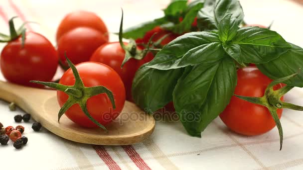 Spaghetti con salsa di pomodoro - con rotazione della forchetta — Video Stock