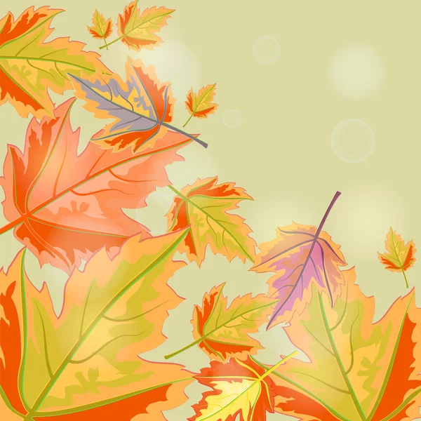 Fond d'automne avec feuilles. — Image vectorielle