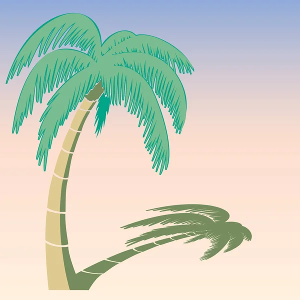 Vector illustration of the palm tree — Stock Vector