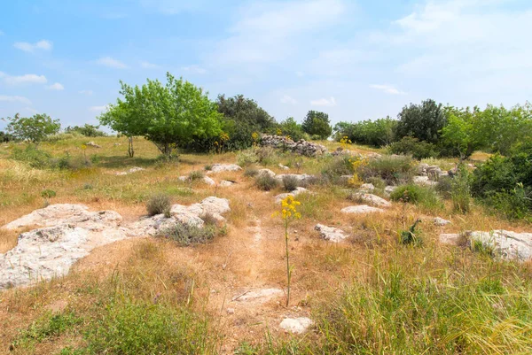 Archeologische ruïnes in Beit Guvrin, Israël. — Stockfoto