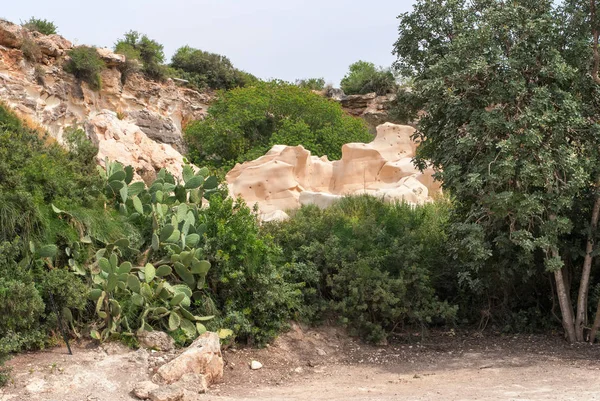 Beit Guvrin Maresha 国立公園 — ストック写真