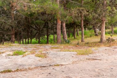 İncil'deki manzara Hadid görüntülemek.