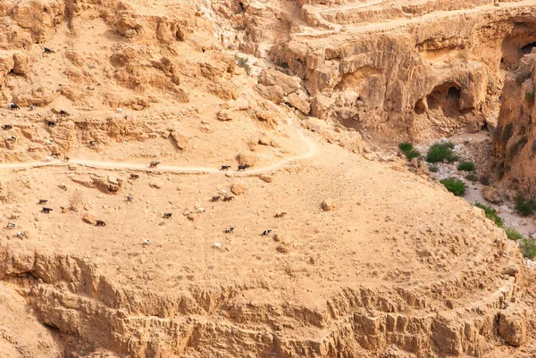 Wadi Qelt Judean Desert St. George Ortodoks Manastırı — Stok fotoğraf