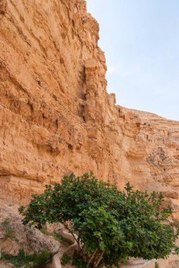 Wadi Qelt Judean Desert St. George Ortodoks Manastırı